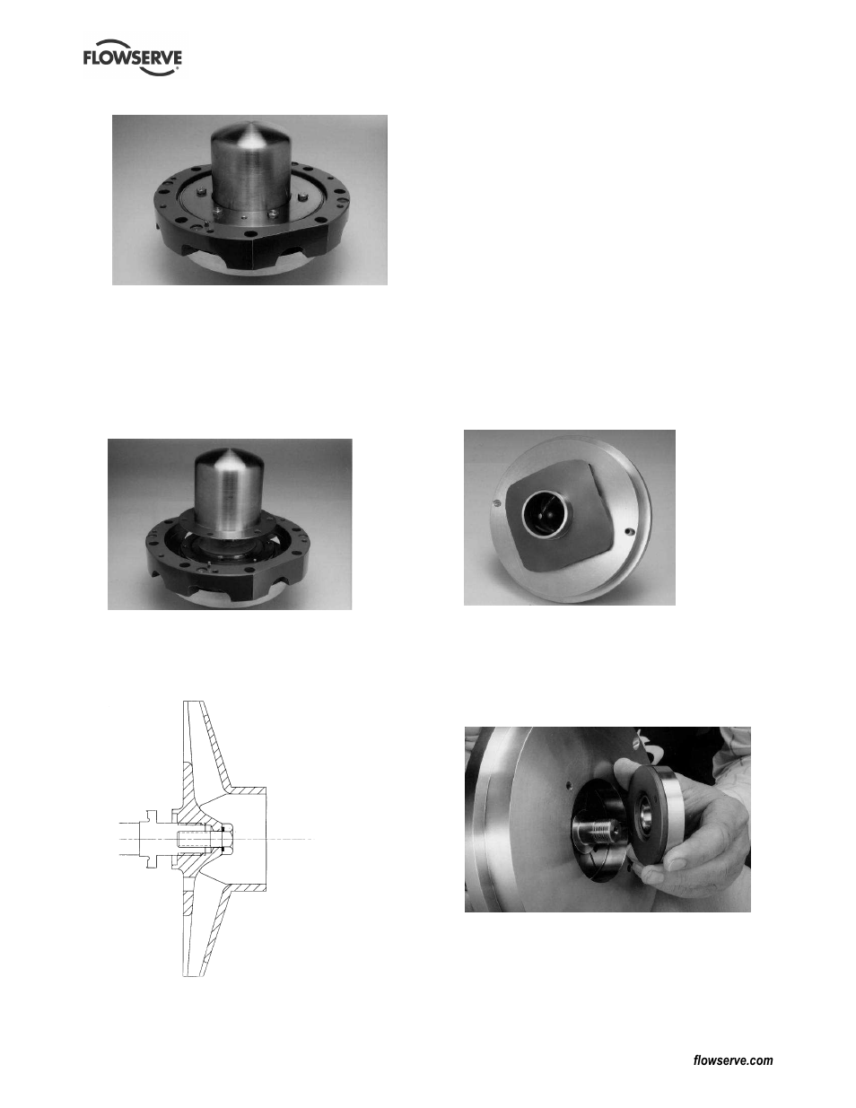 Flowserve Guardian Sealless Metallic User Manual | Page 41 / 68