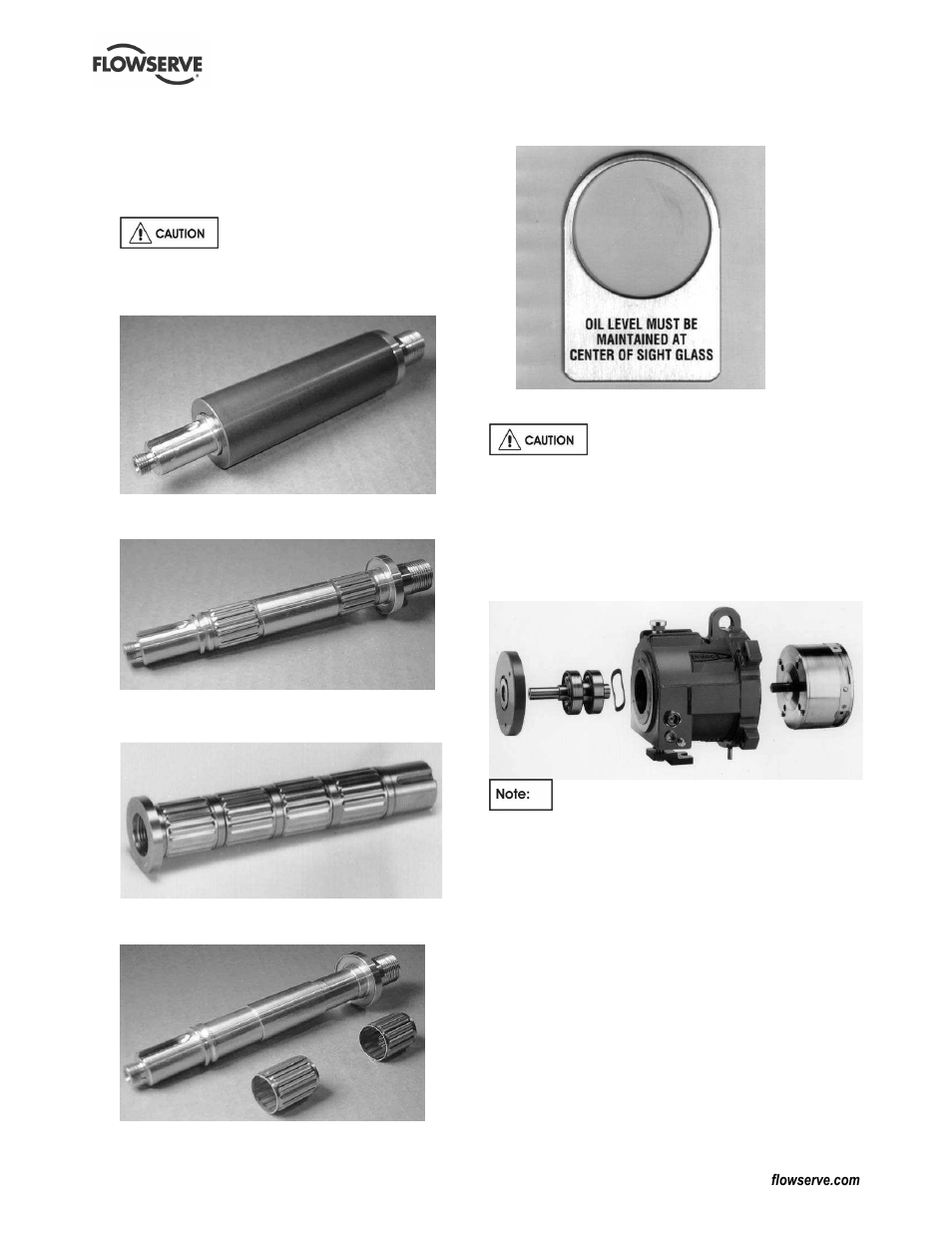 Flowserve Guardian Sealless Metallic User Manual | Page 43 / 68