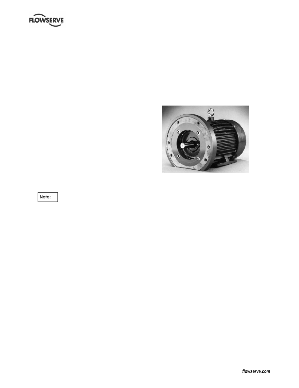 Flowserve Guardian Sealless Metallic User Manual | Page 48 / 68