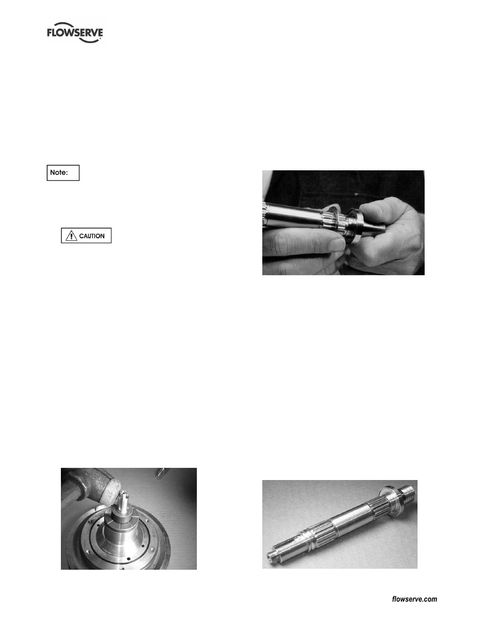 Flowserve Guardian Sealless Metallic User Manual | Page 49 / 68