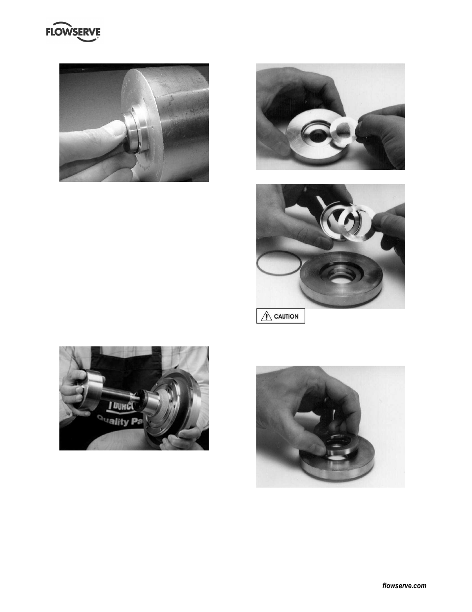 Flowserve Guardian Sealless Metallic User Manual | Page 51 / 68