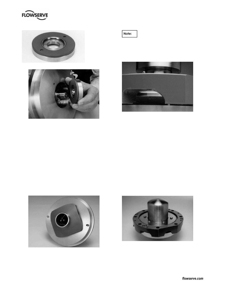Flowserve Guardian Sealless Metallic User Manual | Page 52 / 68