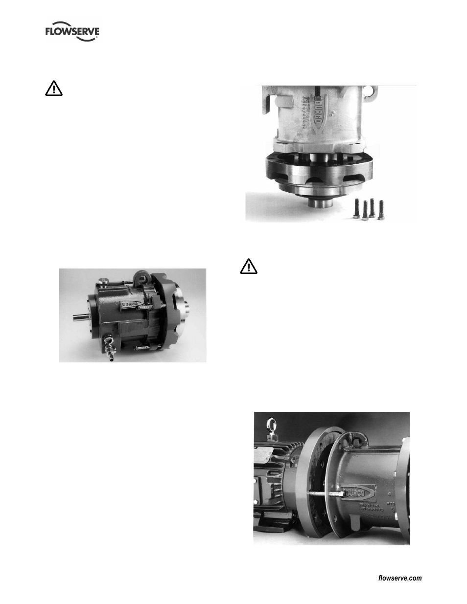 Flowserve Guardian Sealless Metallic User Manual | Page 53 / 68