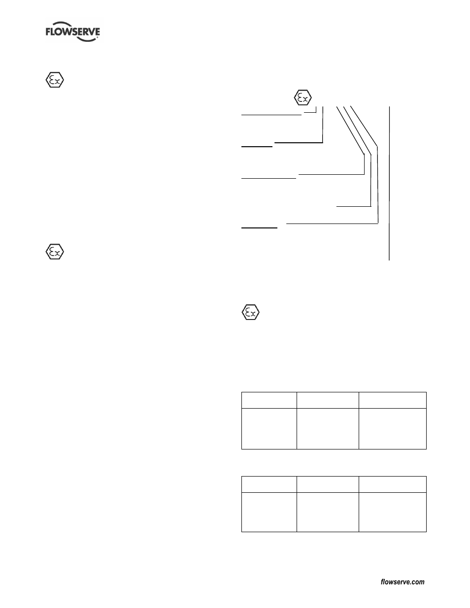Flowserve Guardian Sealless Metallic User Manual | Page 6 / 68