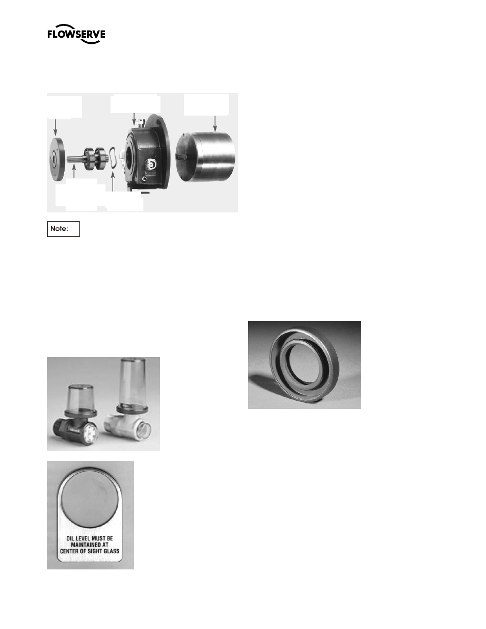 Flowserve M-series PolyChem User Manual | Page 43 / 60