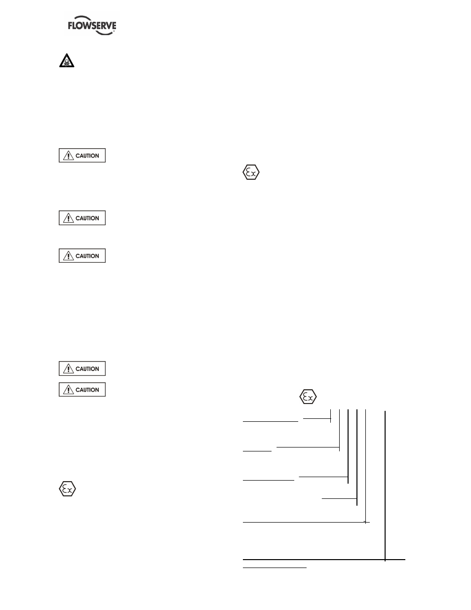 Flowserve VF User Manual | Page 6 / 32