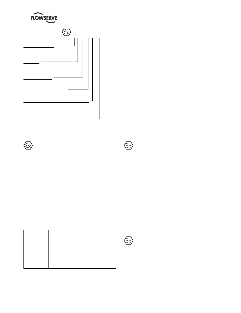 Flowserve DMX User Manual | Page 6 / 60