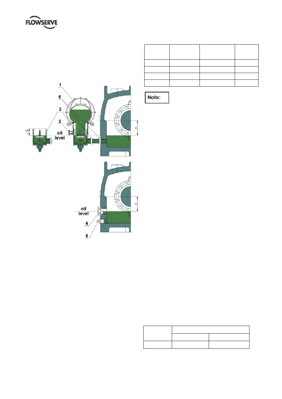 Flowserve ERPN-M User Manual | Page 19 / 37