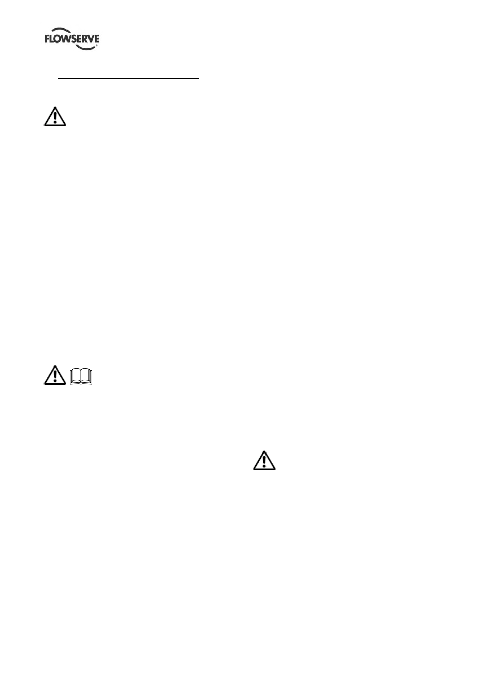 Flowserve ERPN-M User Manual | Page 4 / 37