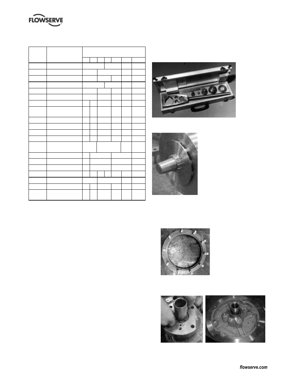 4 recommended spares, 5 tools required | Flowserve Chemstar standard User Manual | Page 23 / 44