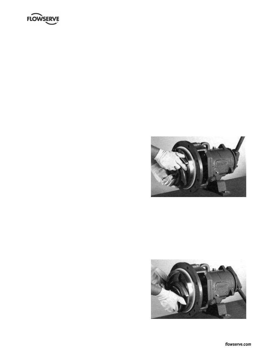 Flowserve Chemstar standard User Manual | Page 29 / 44
