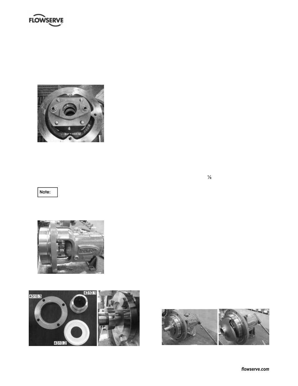Flowserve Chemstar standard User Manual | Page 31 / 44