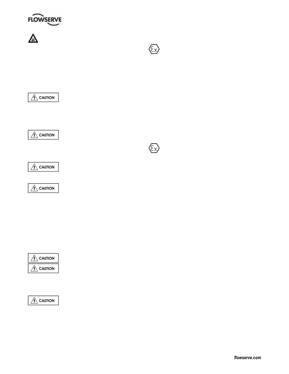Flowserve Chemstar standard User Manual | Page 5 / 44