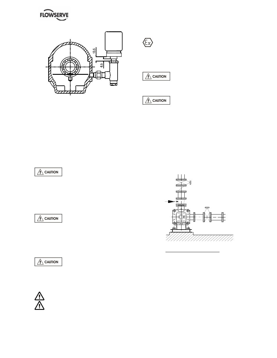 Flowserve NM User Manual | Page 19 / 48