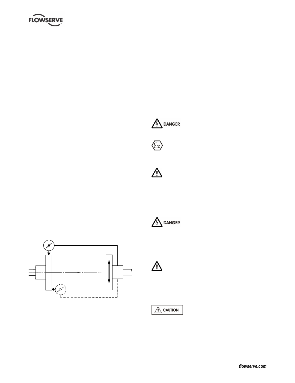 Flowserve CPXV fitted with WW User Manual | Page 14 / 36