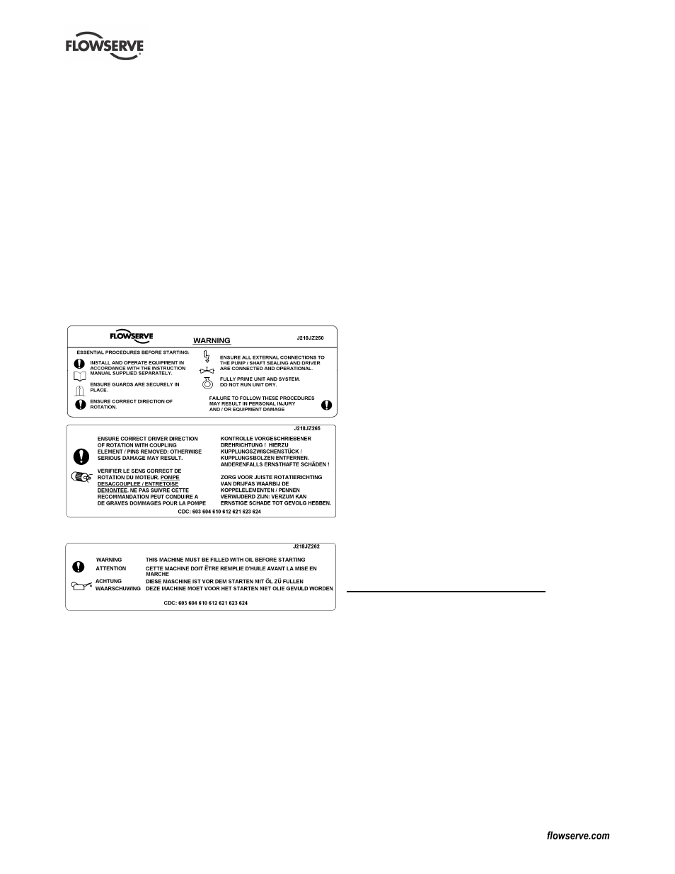 Flowserve CPXV fitted with WW User Manual | Page 9 / 36