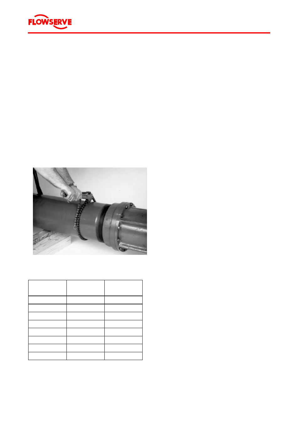 Flowserve Byron Jackson Type M User Manual | Page 31 / 68