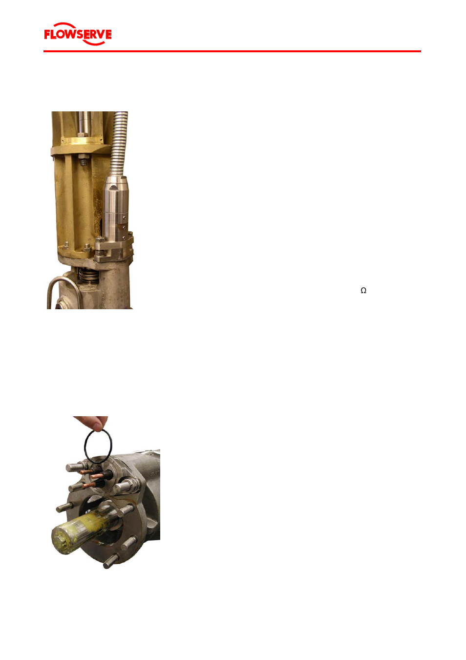 Flowserve Byron Jackson Type M User Manual | Page 38 / 68