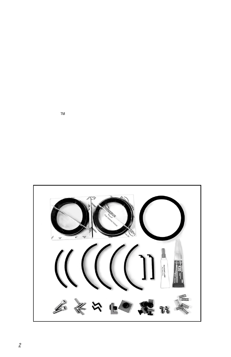 Flowserve PSS II User Manual | Page 2 / 16