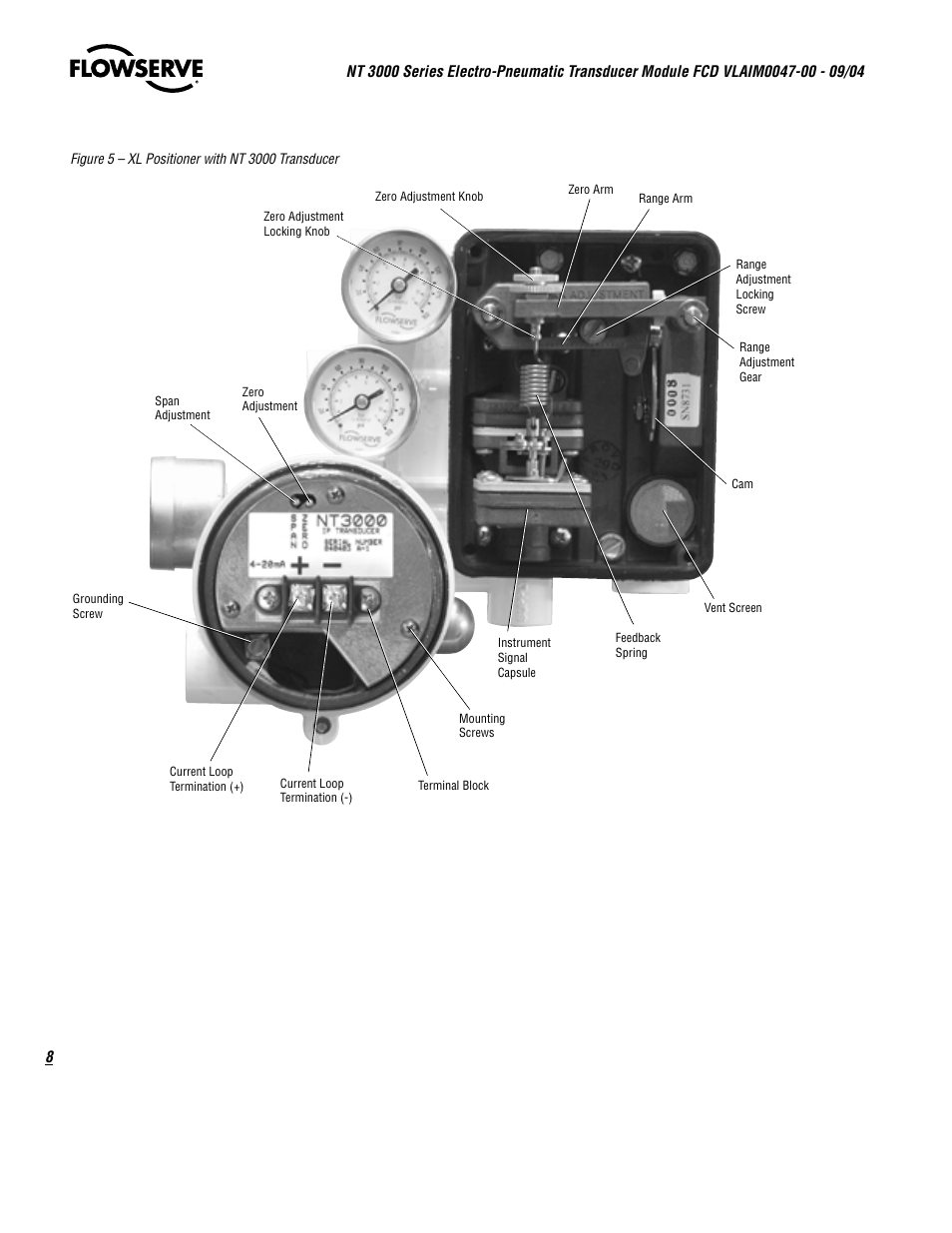 Flowserve NT3000 Series User Manual | Page 8 / 20