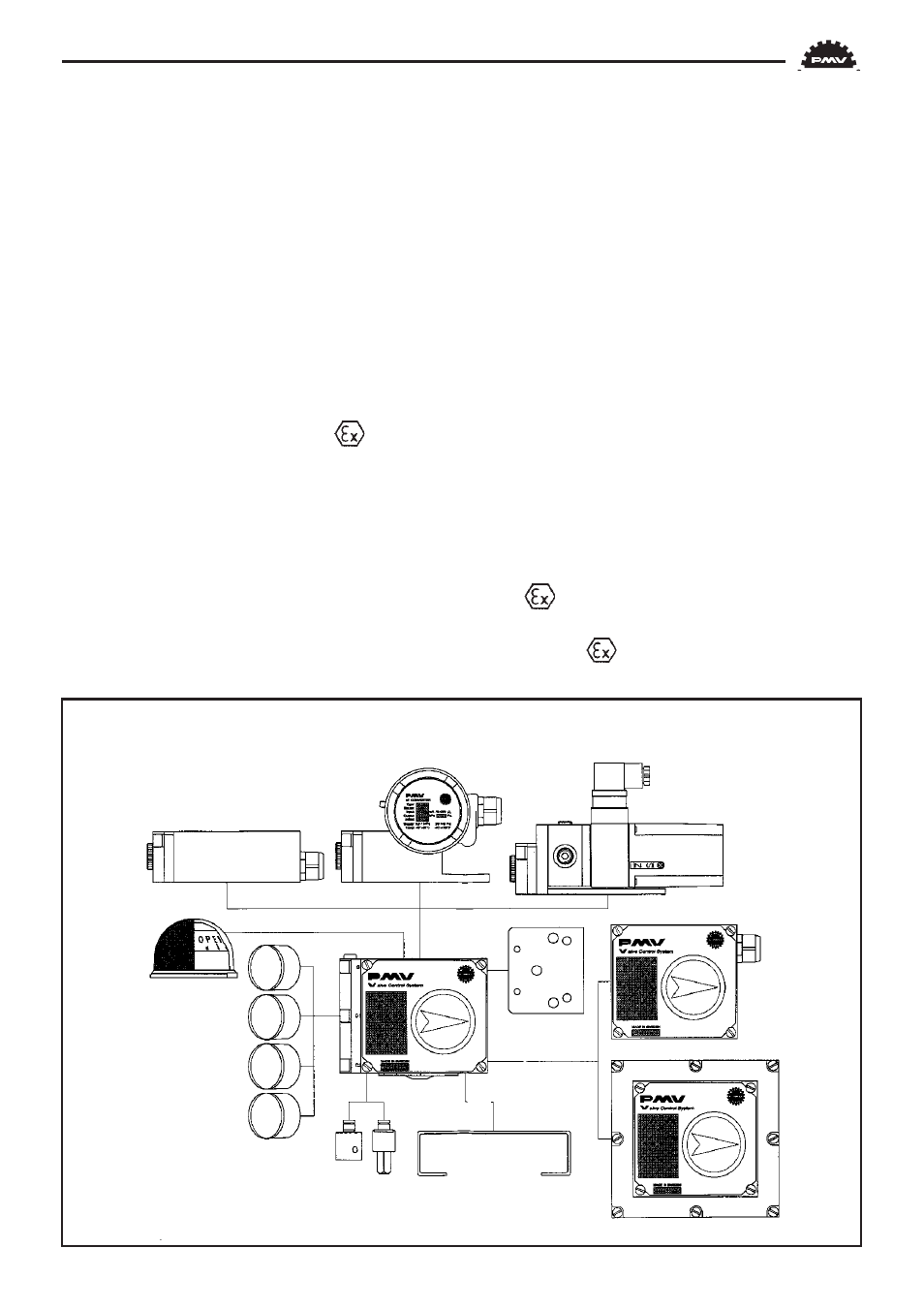 Flowserve PMV P4 User Manual | Page 5 / 42