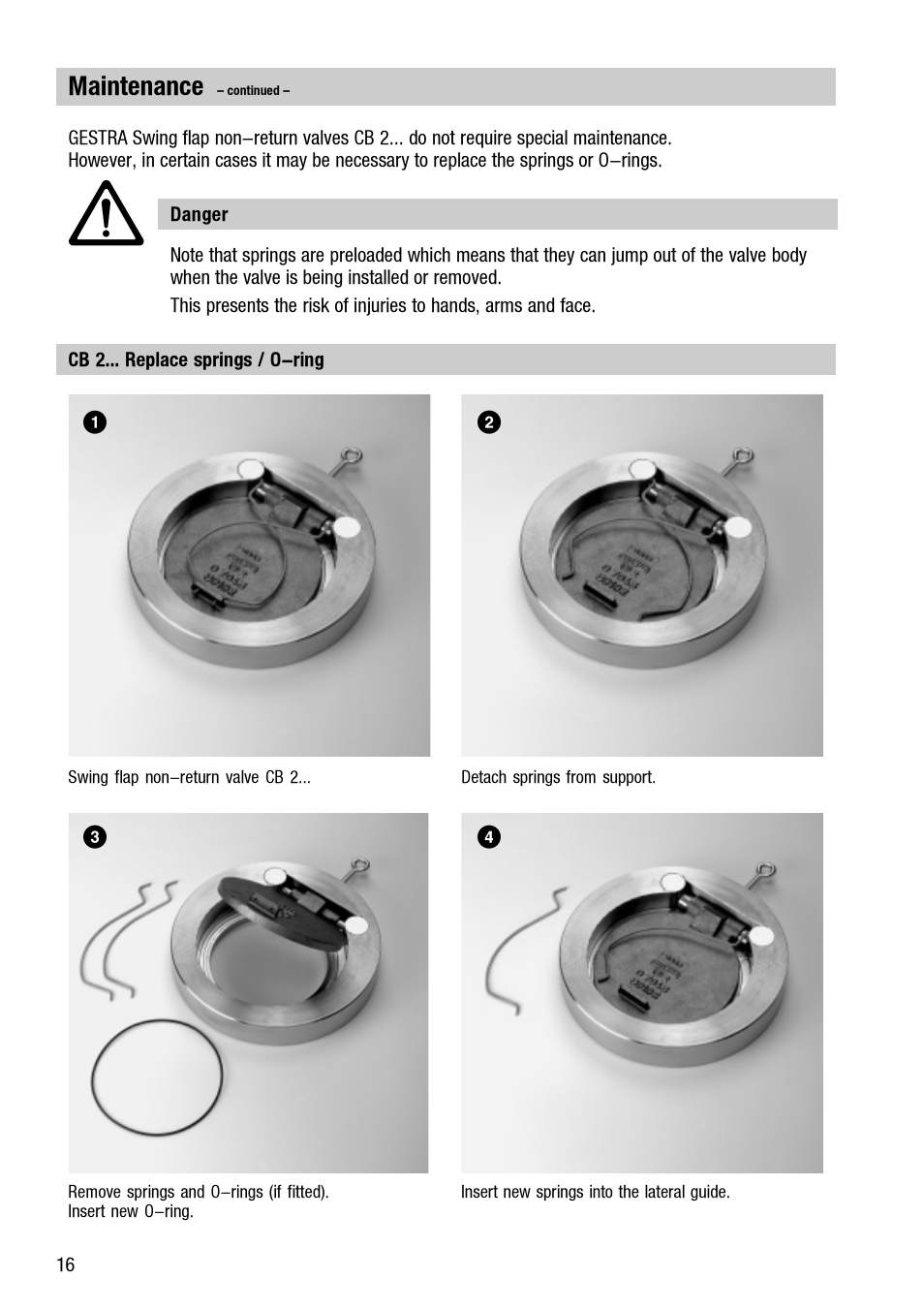 Maintenance | Flowserve CB 1 User Manual | Page 16 / 24