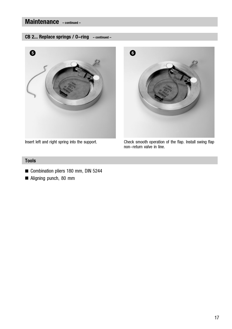 Maintenance | Flowserve CB 1 User Manual | Page 17 / 24