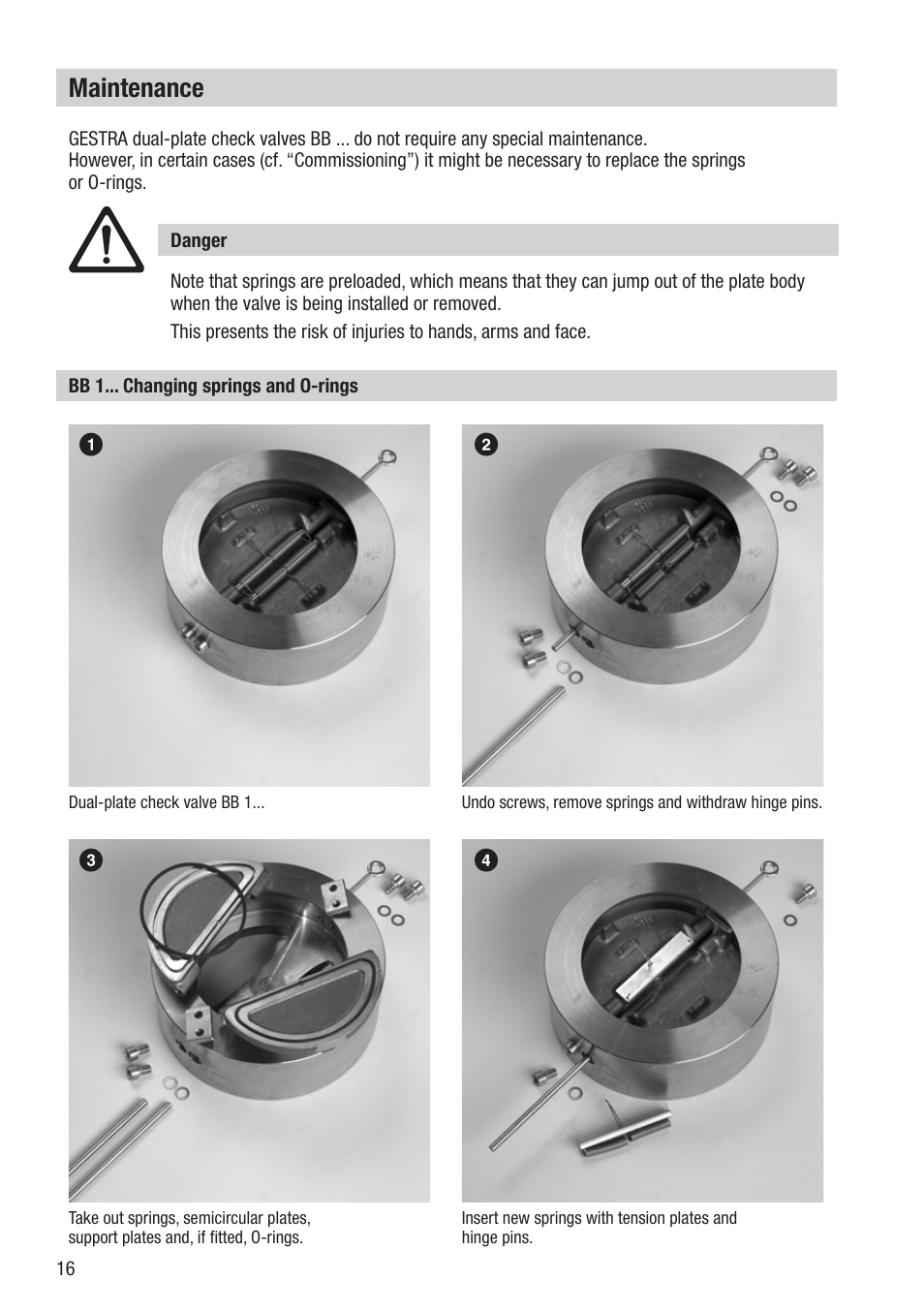 Maintenance | Flowserve BB 1 User Manual | Page 16 / 28