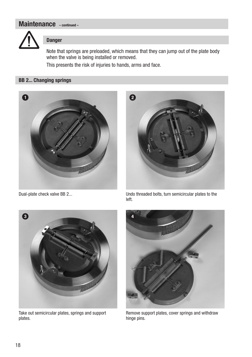 Maintenance | Flowserve BB 1 User Manual | Page 18 / 28