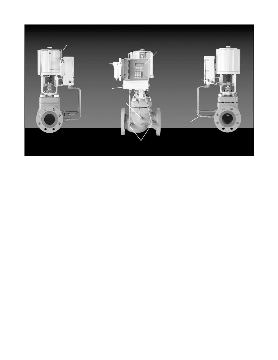 Flowserve 2000 Series Digital Positioner User Manual | Page 3 / 24