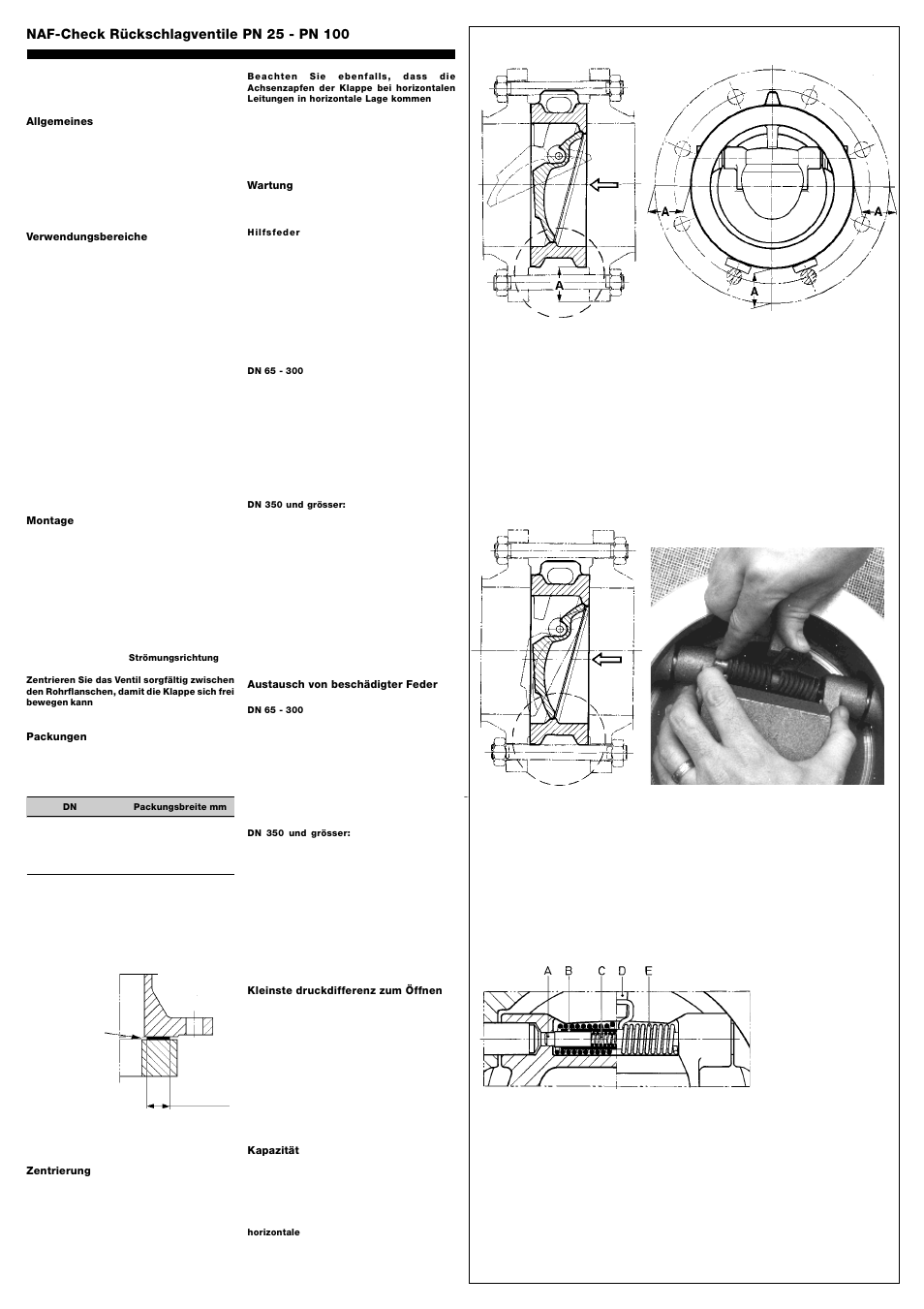 Flowserve NAF-Check User Manual | 4 pages