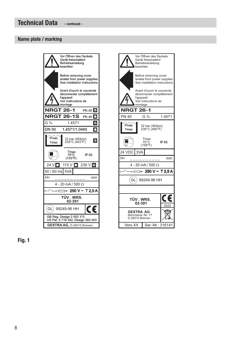 Technical data, Fig. 1, Name plate / marking | Nrgt 26-1 | Flowserve NRGT26-1 User Manual | Page 8 / 24