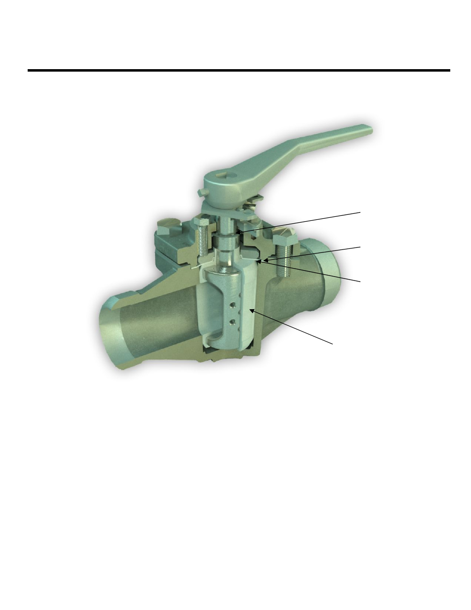 Flowserve PlugSeal User Manual | Page 12 / 14