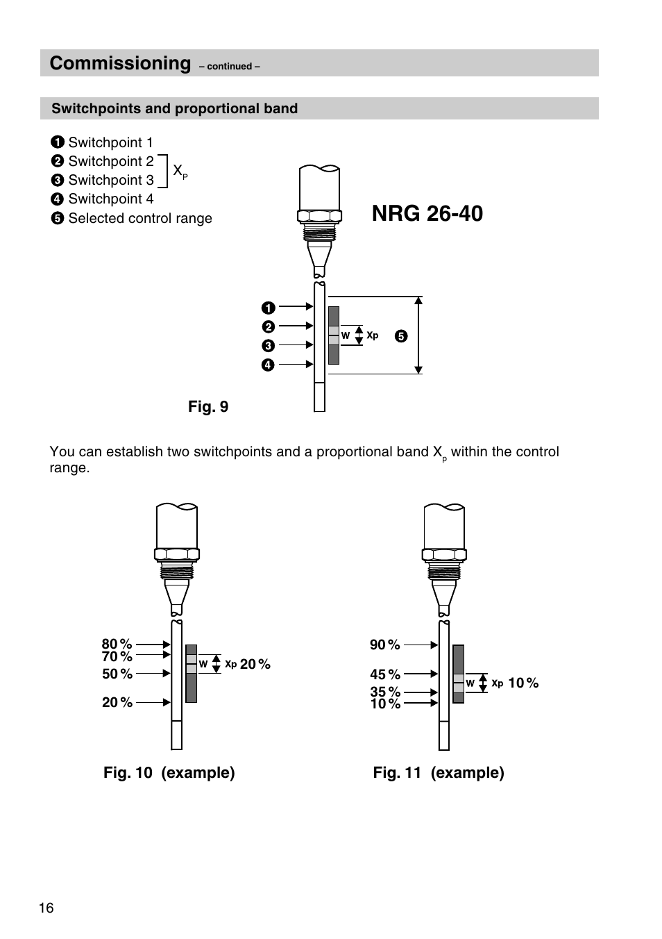 Nrg 26-40, Commissioning | Flowserve NRR 2-40 User Manual | Page 16 / 36