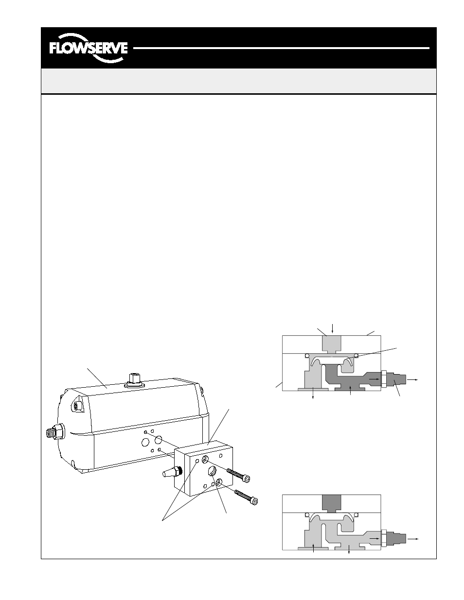 Flowserve APS2 Module User Manual | 2 pages