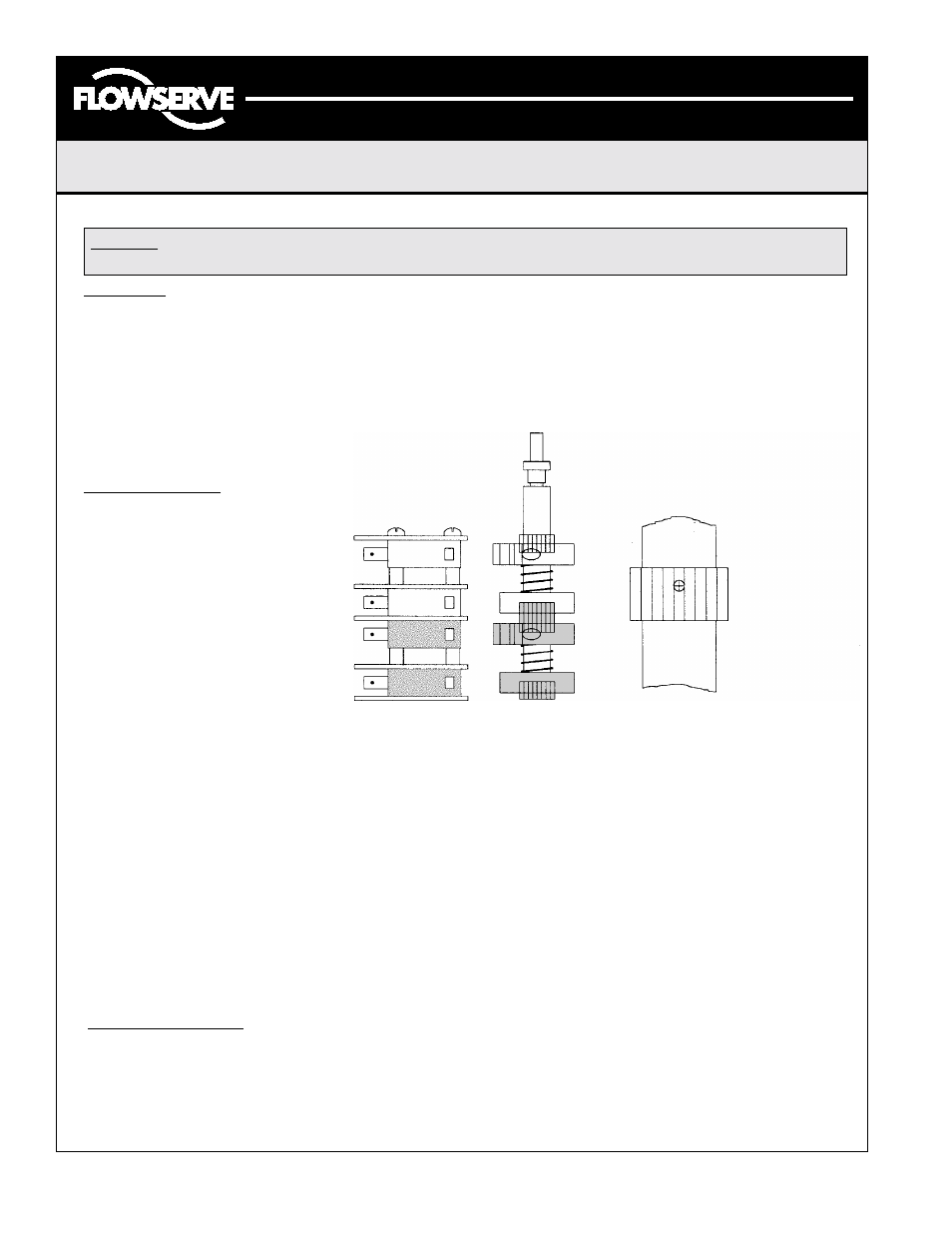 Flowserve Centura CE Extra-Switch User Manual | 2 pages