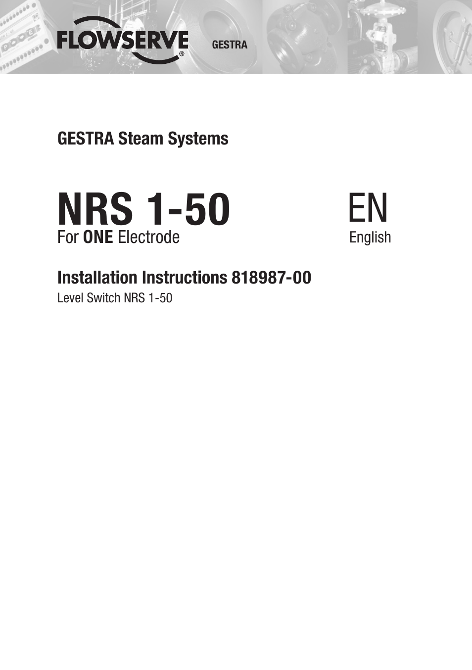 Flowserve NRS 1-50 For ONE Electrode User Manual | 24 pages