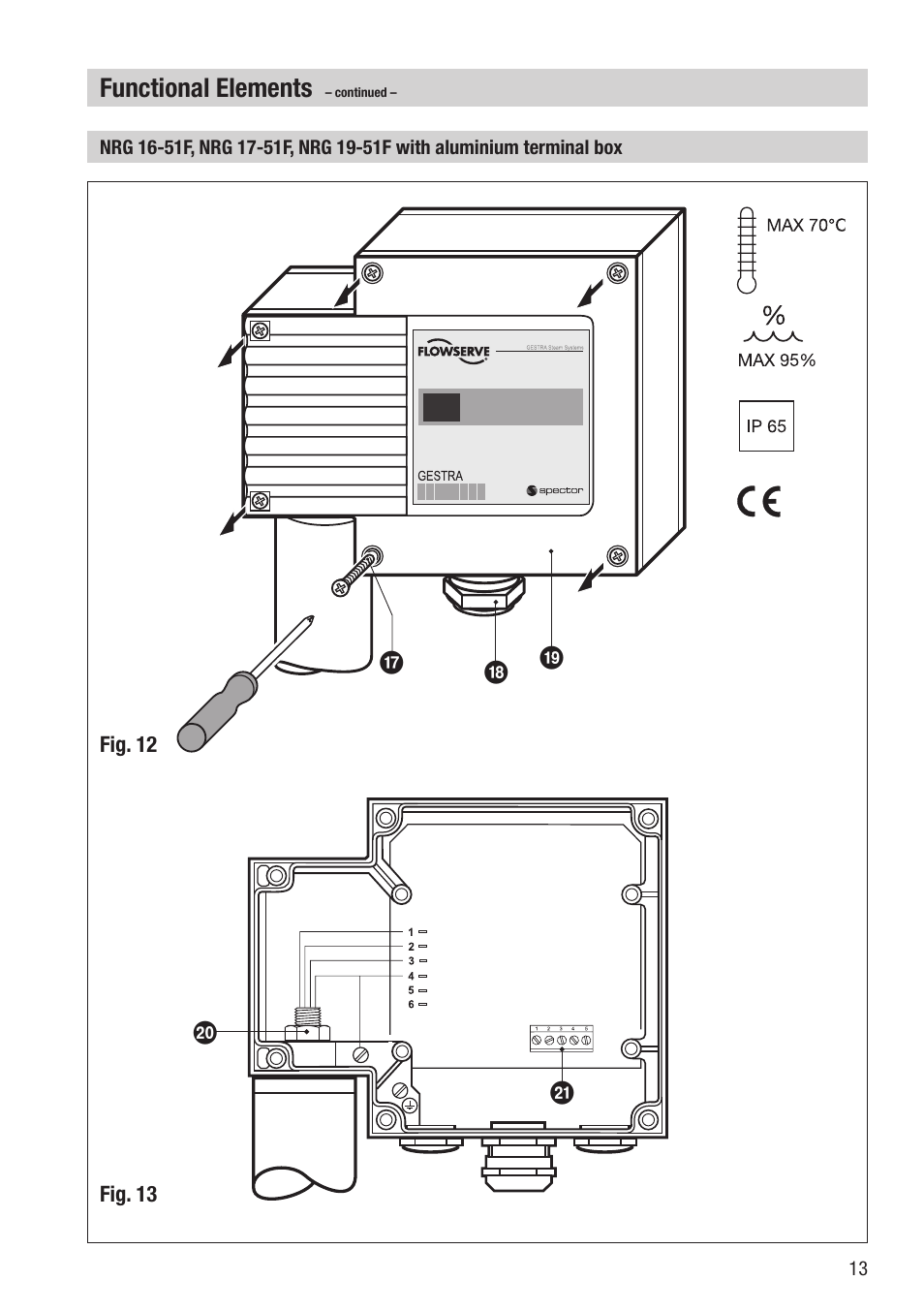 Functional elements, Ig h k j | Flowserve NRG 16-51 User Manual | Page 13 / 24