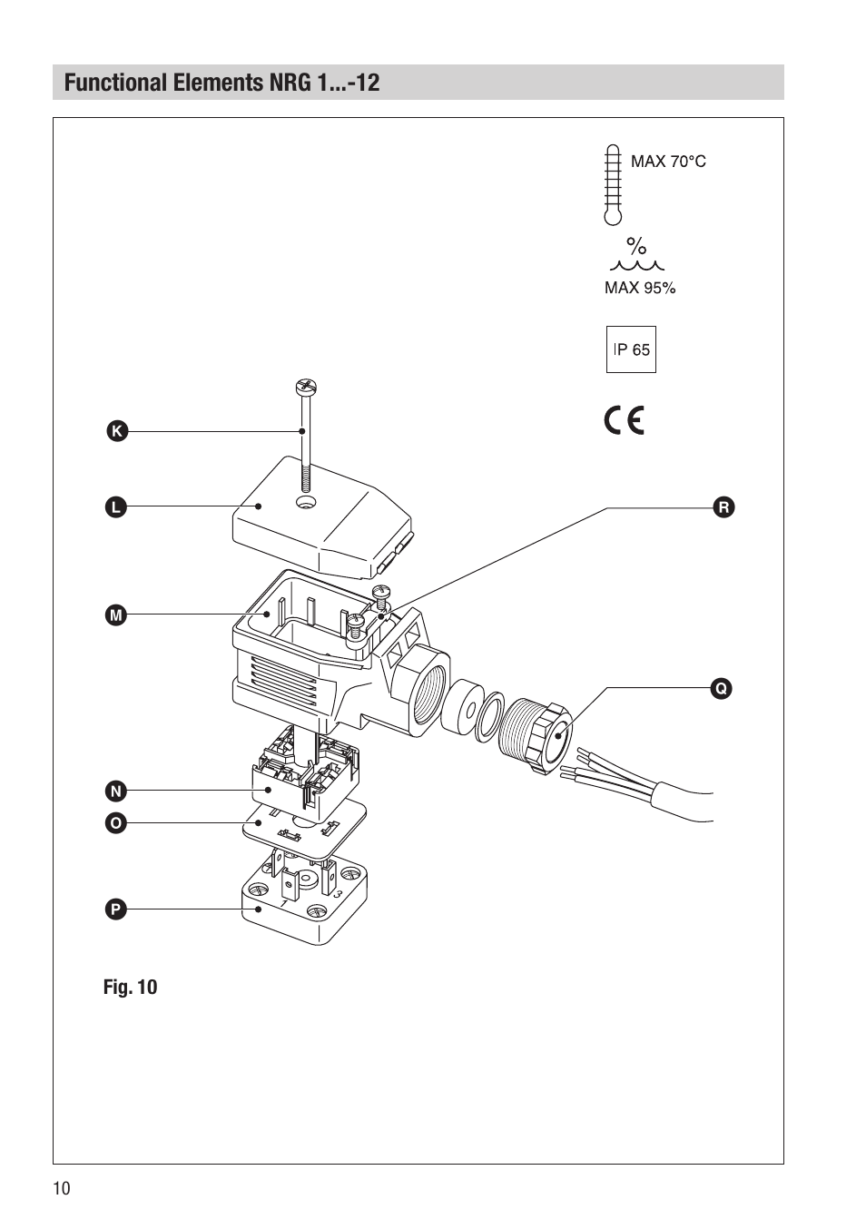 Flowserve NRG16-12 User Manual | Page 10 / 20