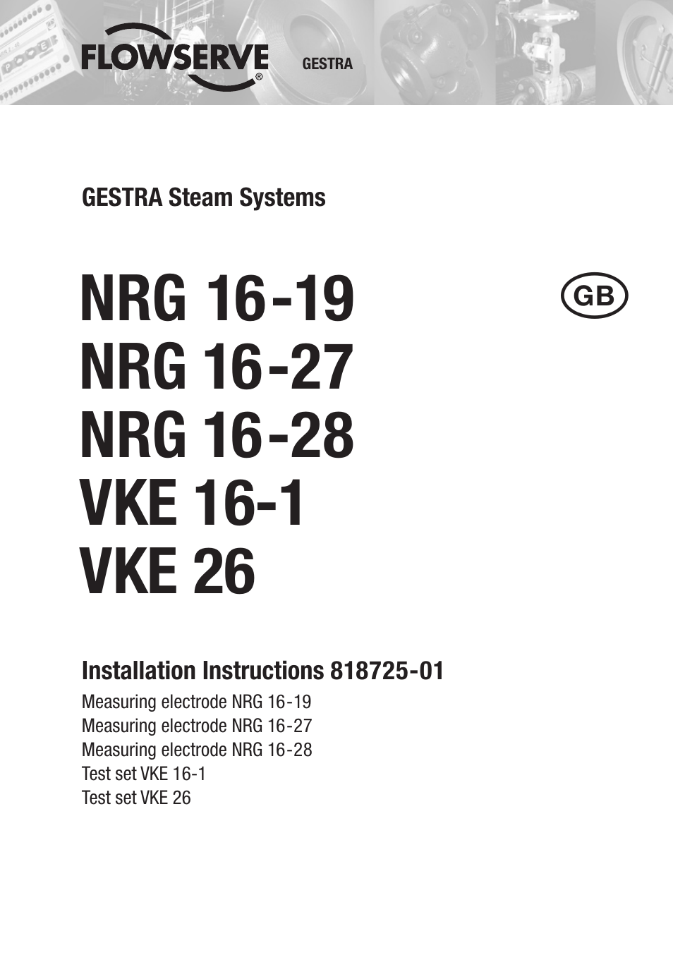 Flowserve NRG 16-19 User Manual | 20 pages