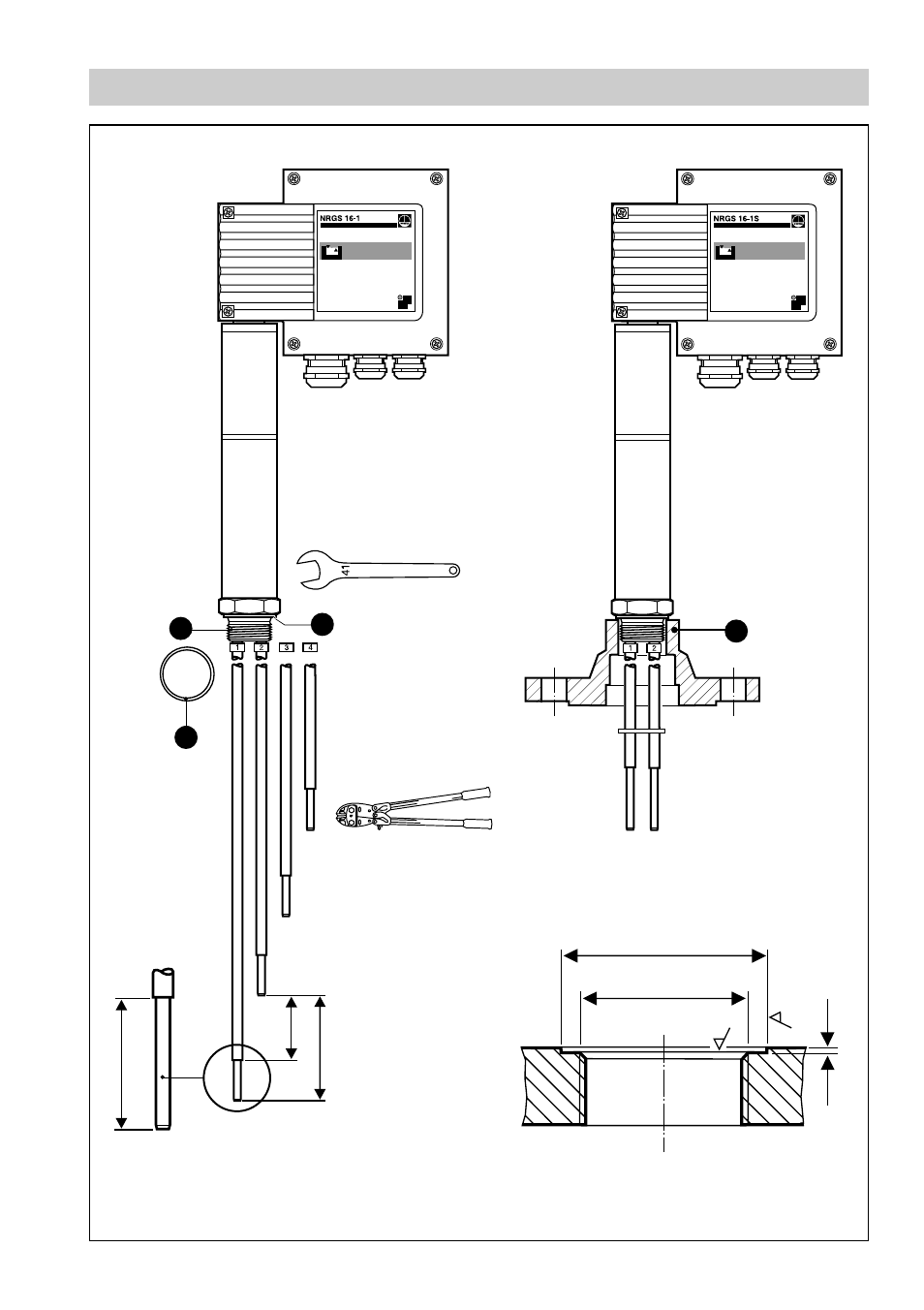 Nrgs 16 -1/s | Flowserve NRGS 16-1 User Manual | Page 3 / 18