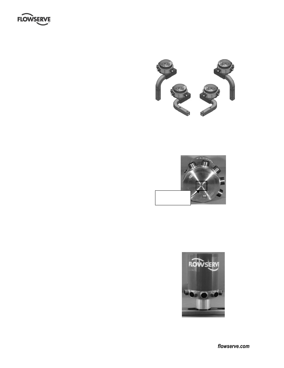 Reliminary operational check, Ounting | Flowserve 103 Smart Multi-Port IPS Wireless User Manual | Page 11 / 20