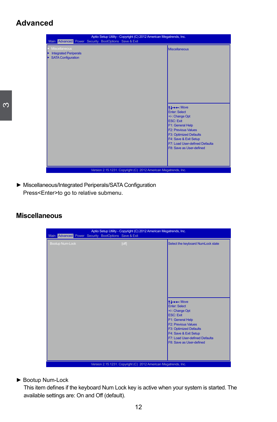 Advanced, Miscellaneous | Foxconn nT-i2847 User Manual | Page 17 / 36