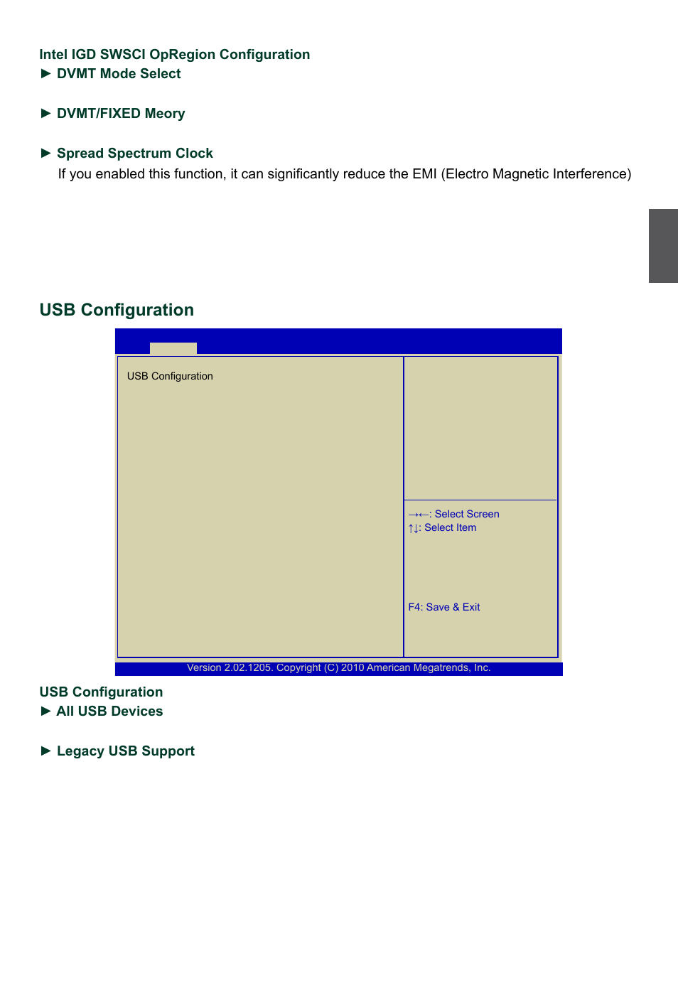 Usb configuration | Foxconn R10-H1 User Manual | Page 34 / 73