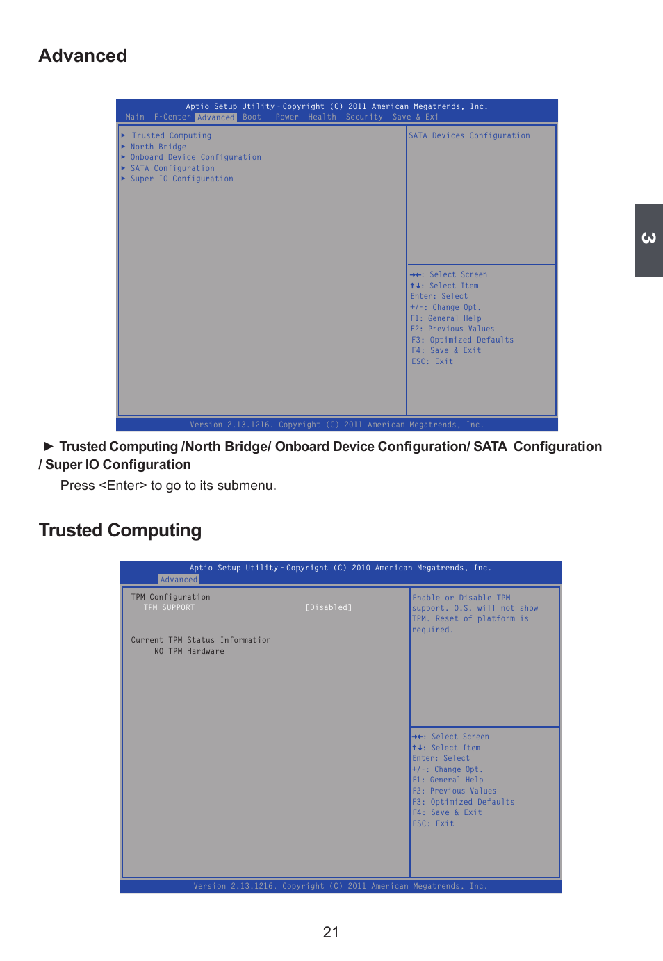 Advanced, Trusted computing | Foxconn D250S User Manual | Page 28 / 65