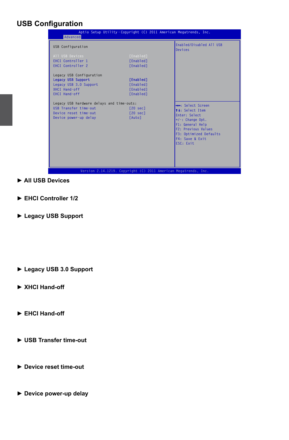 Usb configuration | Foxconn Quantumian1 User Manual | Page 39 / 112