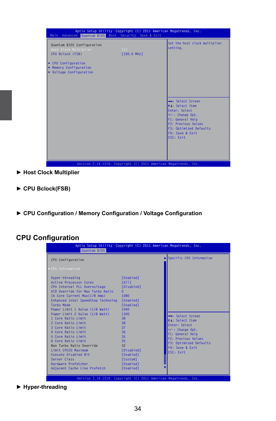 Quantum bios, Cpu configuration | Foxconn Quantumian1 User Manual | Page 41 / 112