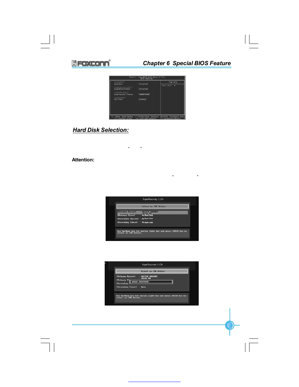 Chapter 6 special bios feature hard disk selection | Foxconn 865A05-G-6ELS User Manual | Page 81 / 88