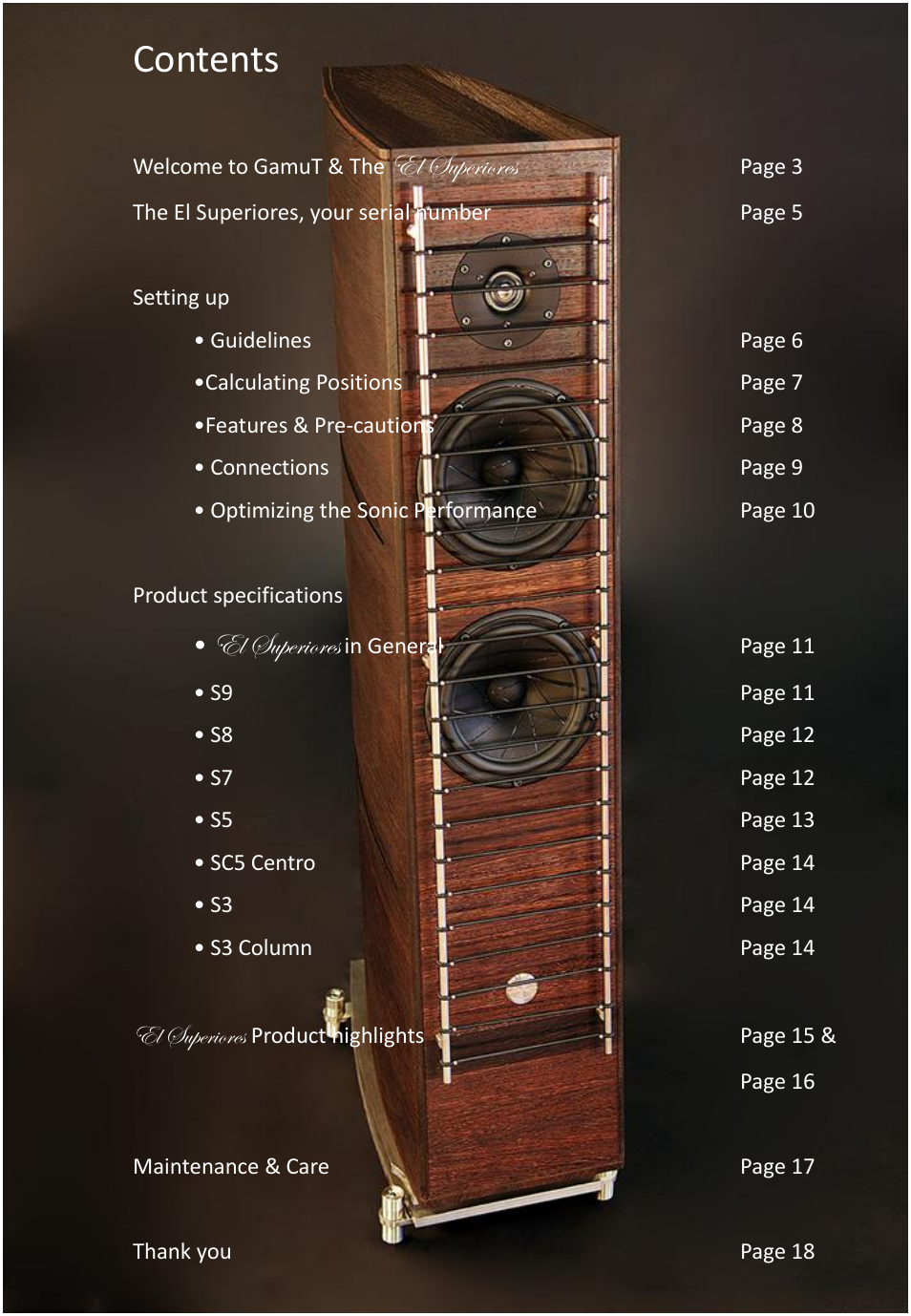 GamuT RS3 User Manual | Page 4 / 20