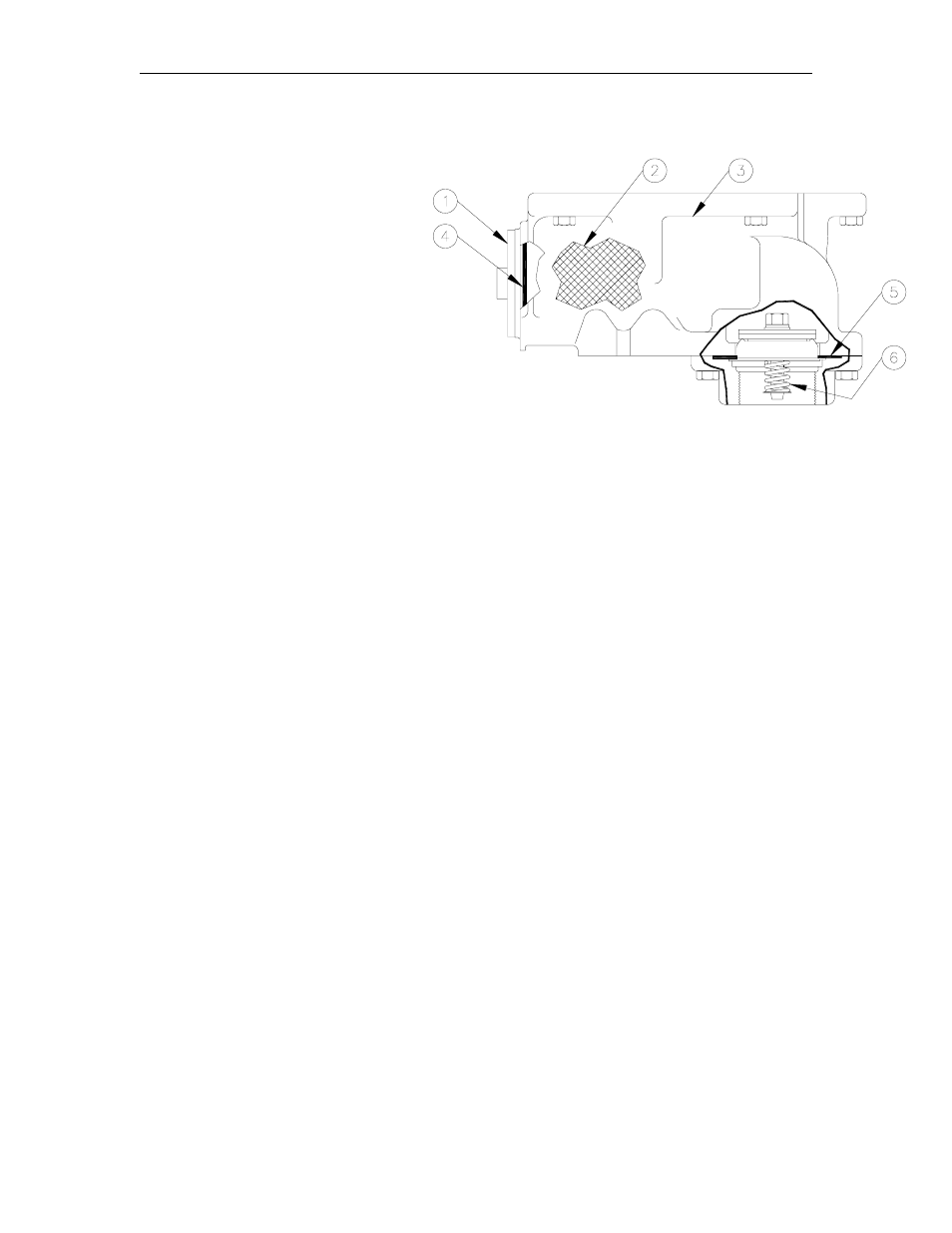 Strainer body assembly | Gasboy 9700E User Manual | Page 80 / 82